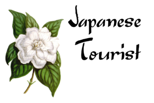 Japanese Tourist Font: Embracing Elegance in Handmade Design