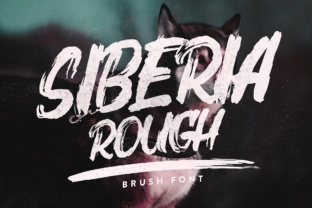Siberia Rough: A Brush Font That Brings Energy to Editorial Design