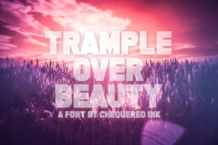 Trample over Beauty Font: Bold Typography for High-Impact Marketing Designs